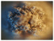 Large Macro Prickly Texture Brown, Abstract Canvas Wall Art, 40"x30"