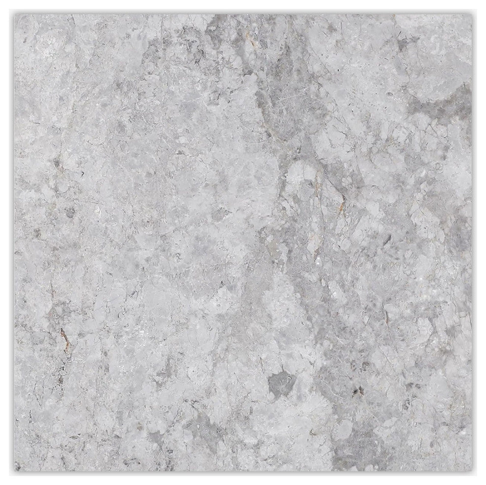 Silver Gray Light Polished 12x12 Marble Tile