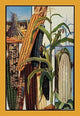 Indian Corn- Gallery Wrapped Canvas Art 28" x 42"