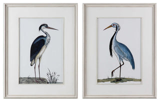 Shore Birds Framed Prints, Set of 2