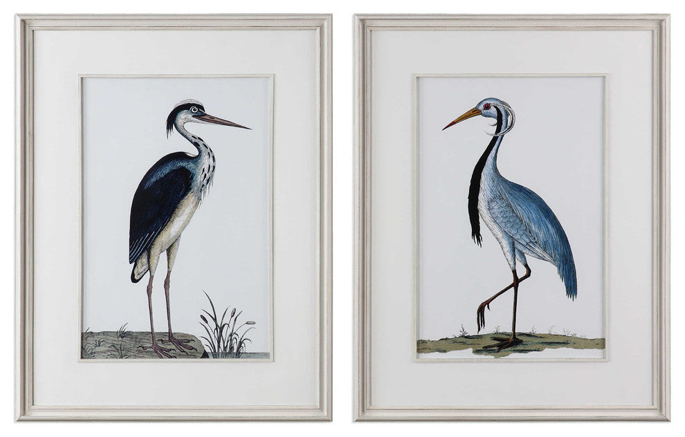 Shore Birds Framed Prints, Set of 2