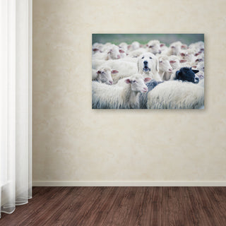 Adrian Popan 'In Disguise' Canvas Art, 47 x 30