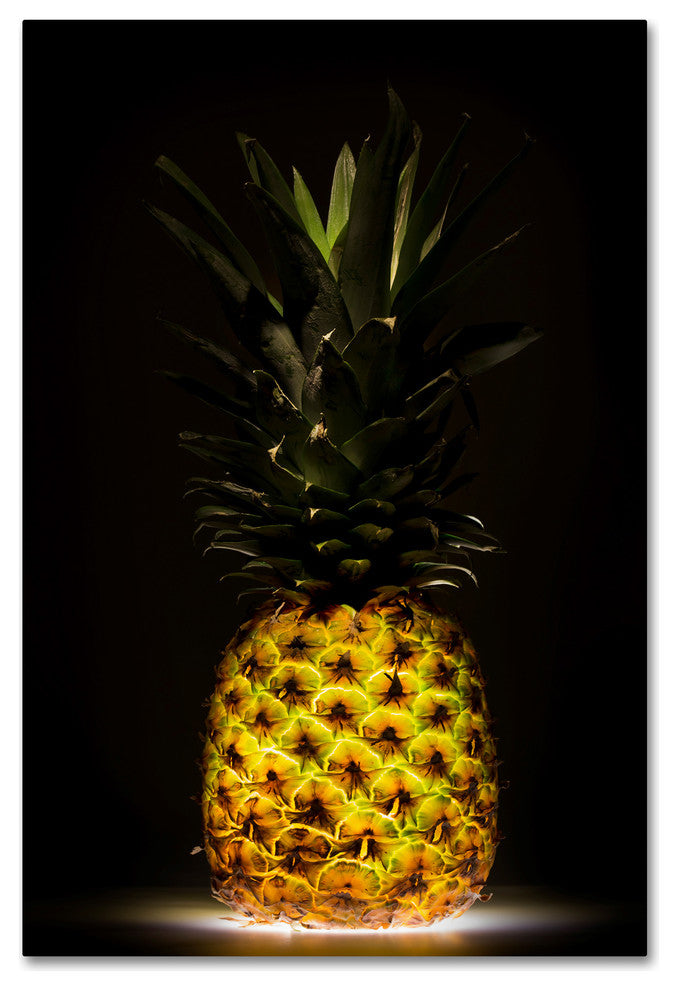 Wieteke De Kogel 'Pineapple' Canvas Art, 24 x 16