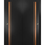 Bypass Doors 36 x 96 | Planum 1010 Matte Black with  | Sturdy Rails