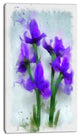 Blue Irises Illustration Watercolor, Floral Canvas Art Print, 16"x32"