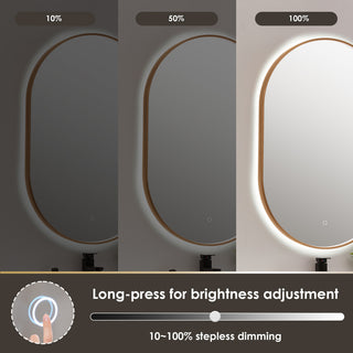 Mizani Oval Framed Bathroom/Vanity LED Lighted Wall Mirror, Brushed Copper, 24"