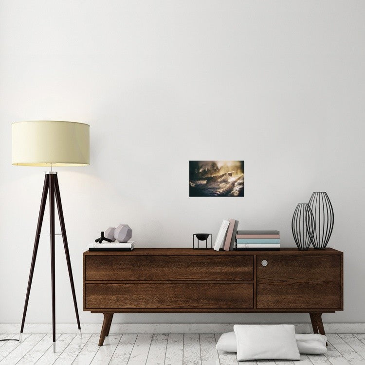 "Flya" Stretched Canvas Giclee by Kerstin Kuntze, 18x12"