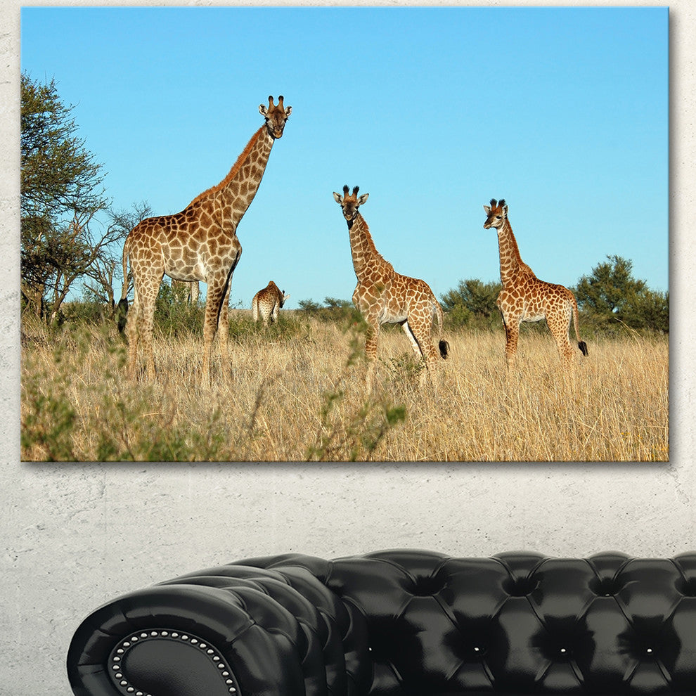 Giraffe Family in Africa, African Canvas Art Print, 40"x30"
