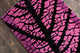 Allie Tree Contemporary Area Rug