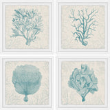 "Coral Group Quadriptych" Framed Painting Prints, 64"x64", 4-Piece Set