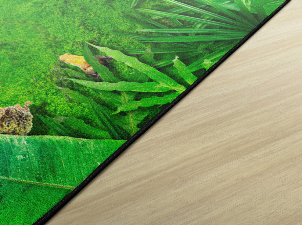 Flagship Carpets VA1013-58FS 10'6"X13'2" Rainforest Frogs Educational Rug