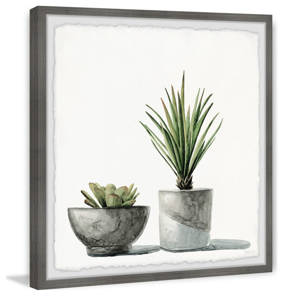 "Spiky Succulent" Framed Painting Print