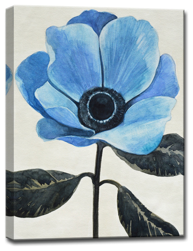 Ready2HangArt ''Graceful Poppy II'' by Normanyatt Jr. Wrapped Art 20"