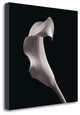 "Lilies" By Michael Faragher, Giclee Print on Gallery Wrap Canvas, Ready to Hang