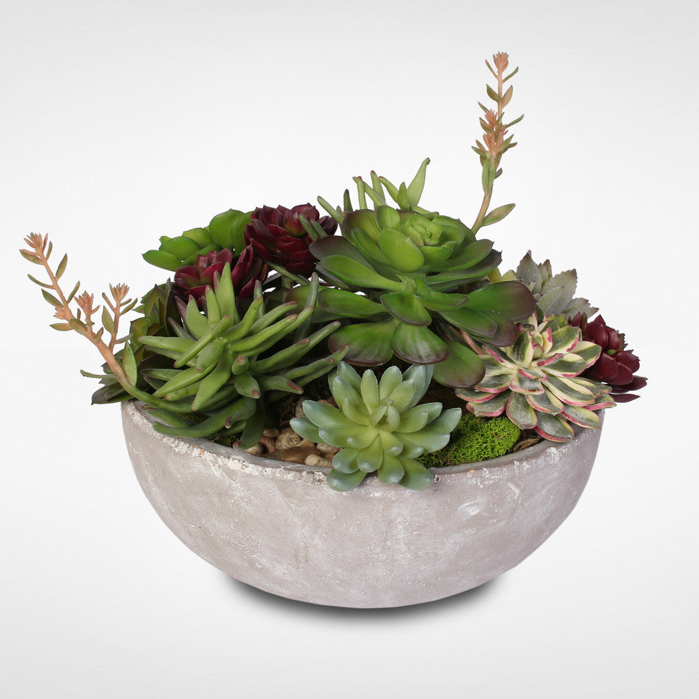 Artificial Succulent Variety With Modern Cement Round Bowl