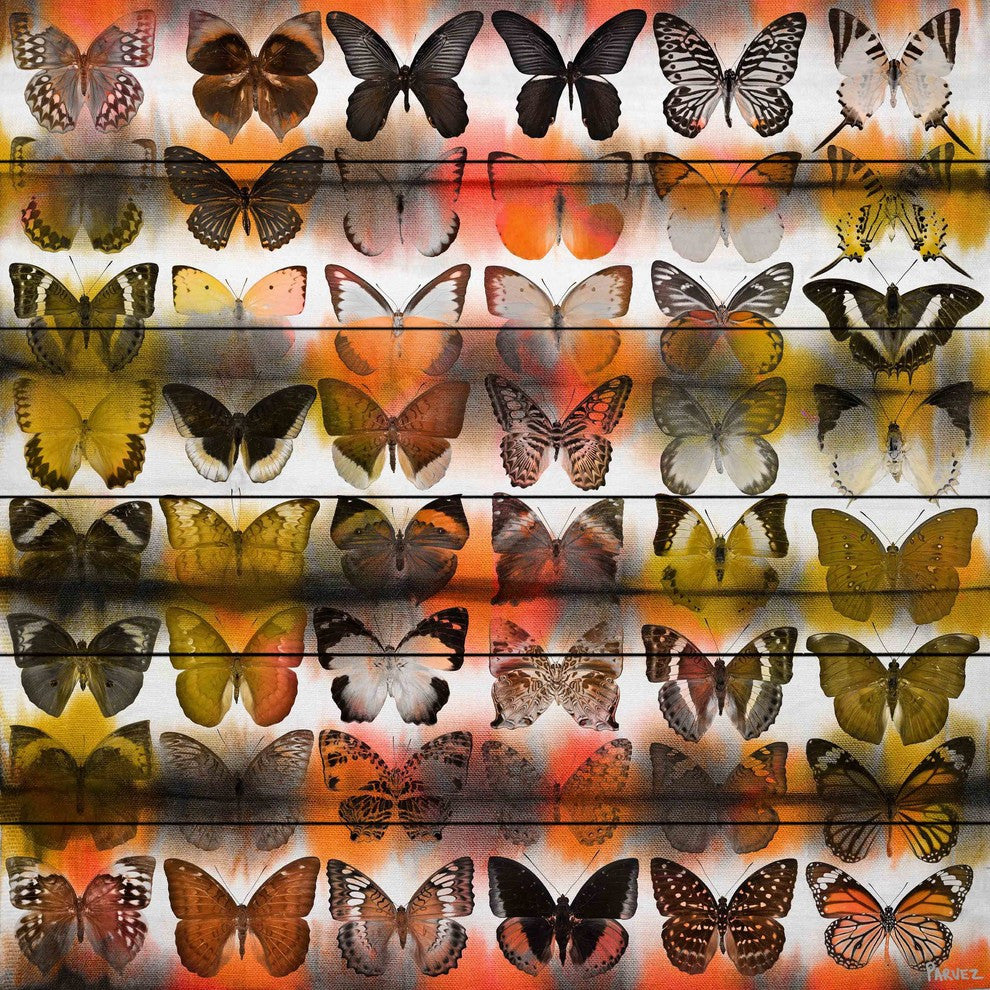 "Moths in Rows" UV Ink Print on White Wood, 40"x40"