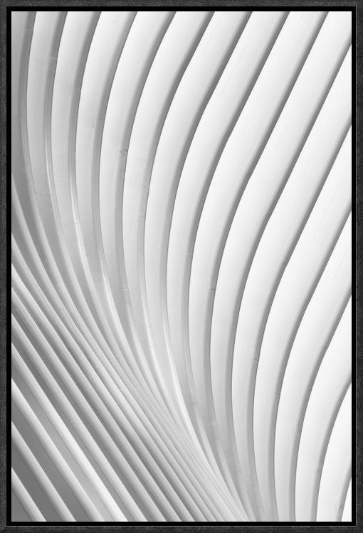Calatrava Lines, 12"x18"