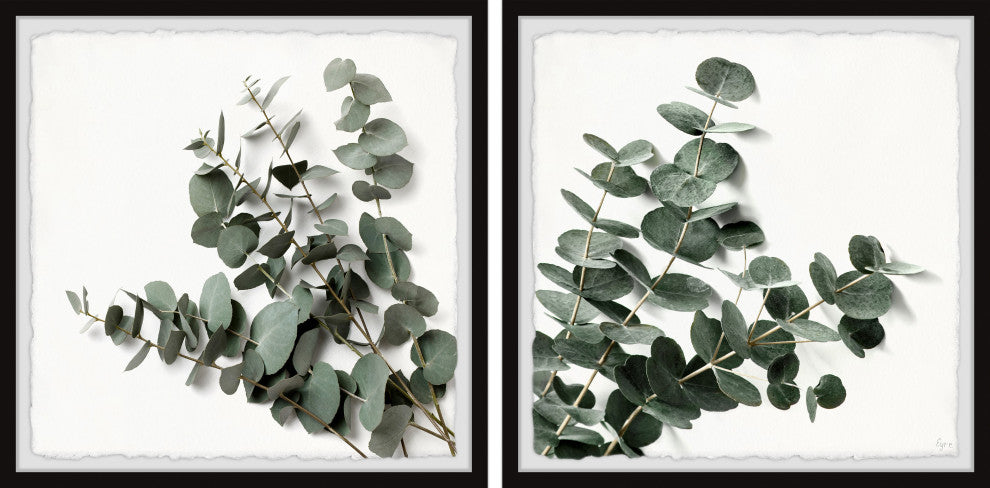 Eucalyptus Bloom Diptych, 2-Piece Set, 32x32 Panels