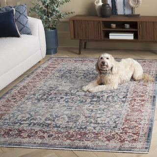 Safavieh Antique Patina ANP640 Rug, Blue/Rust, 8'x9'6"