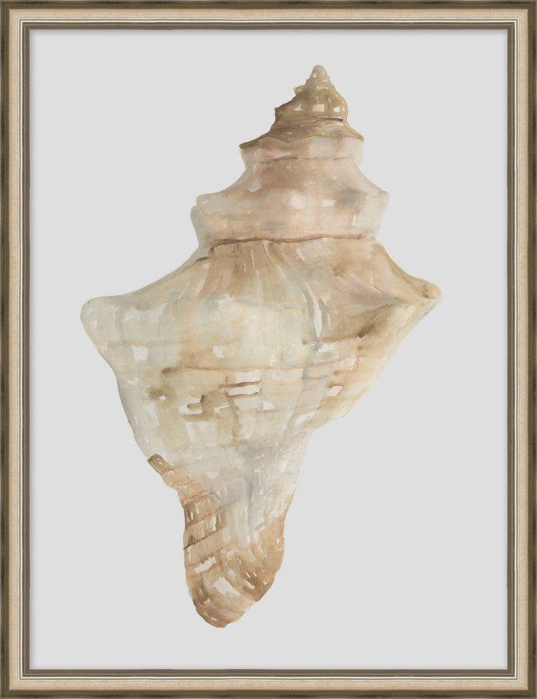 Watercolor Sea Shells 4, Giclee Reproduction Artwork