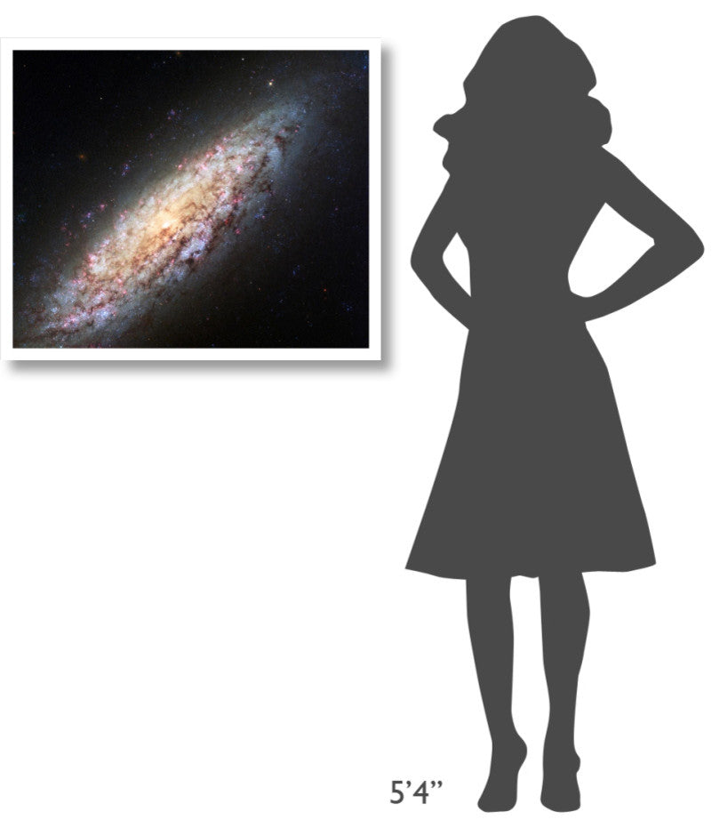 "Spiral Galaxy NGC6503" Digital Paper Print by NASA, 32"x27"