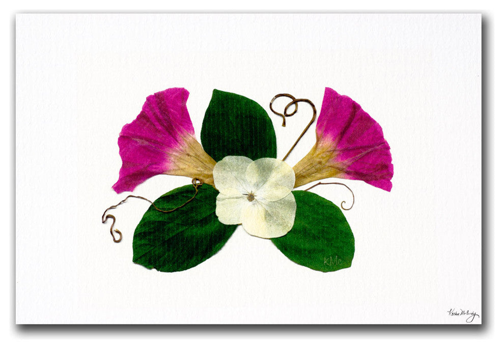'Hara Morning Glory' Canvas Art by Kathie McCurdy