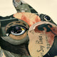 Bulldogs Close Up Dimensional Collage Wall Art Framed Under Glass