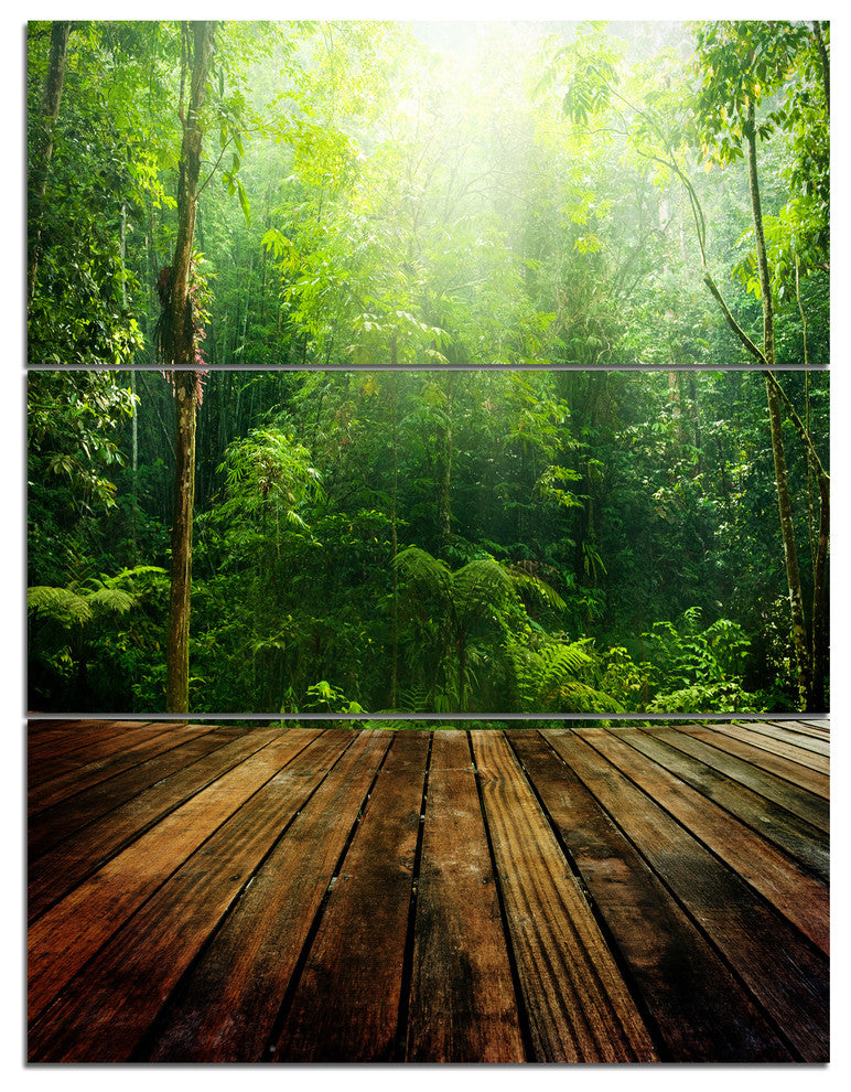 "Green Forest With Ray of Light" Photo Wall Art, 3 Panels, 28"x36"