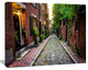 Acorn Street Massachusetts, Landscape Canvas Art Print, 60x40