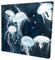 Pelagia Noctiluca Jellyfishes, Fine Art Gallery Wrapped Canvas, 24"x24"