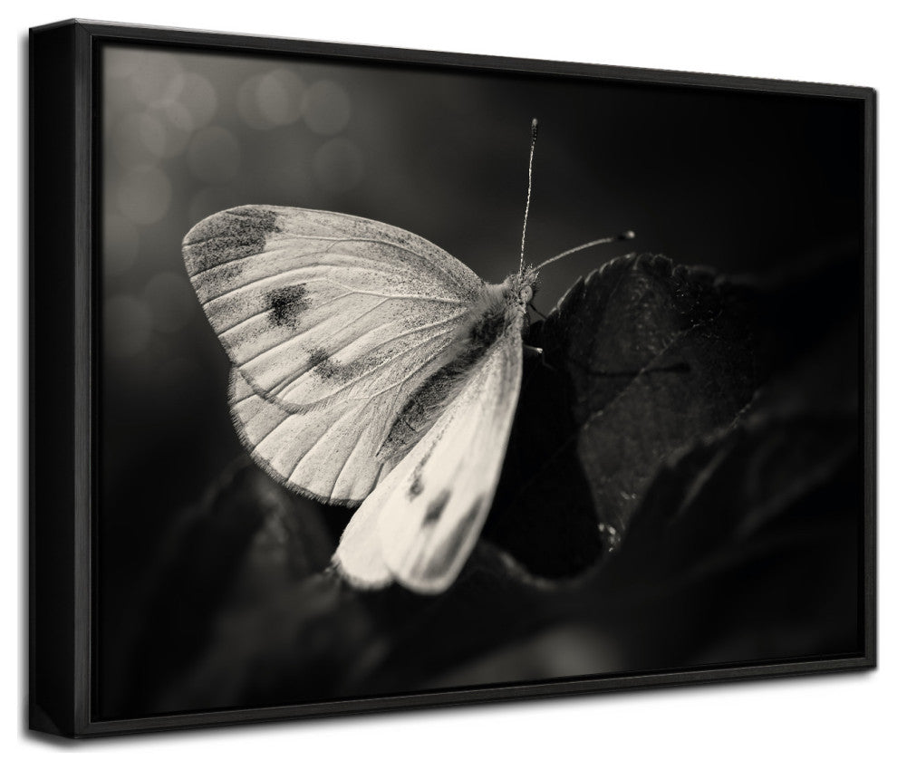 The Escape' Framed Print Wall Art by Michael