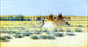 Henry F Farney Indian Encampment, 15"x30" Wall Decal
