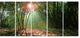 Amazing Green Forest at Sunset, Landscape Canvas Art Print, 60"x28", 5 Panels