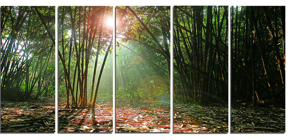 Amazing Green Forest at Sunset, Landscape Canvas Art Print, 60"x28", 5 Panels