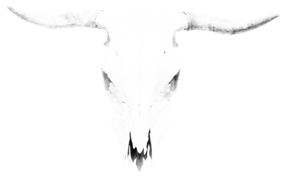 "Bleached Skull" Artwork