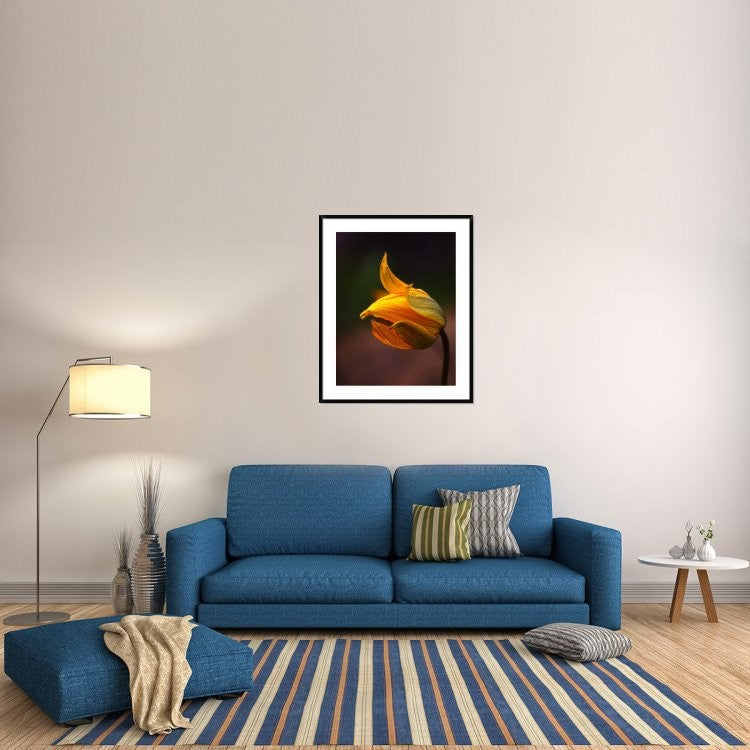 "Shine" Framed Digital Print by Kent Mathiesen, 36x44"