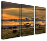 Africa' Canvas Wall Decor Set 3-Panels