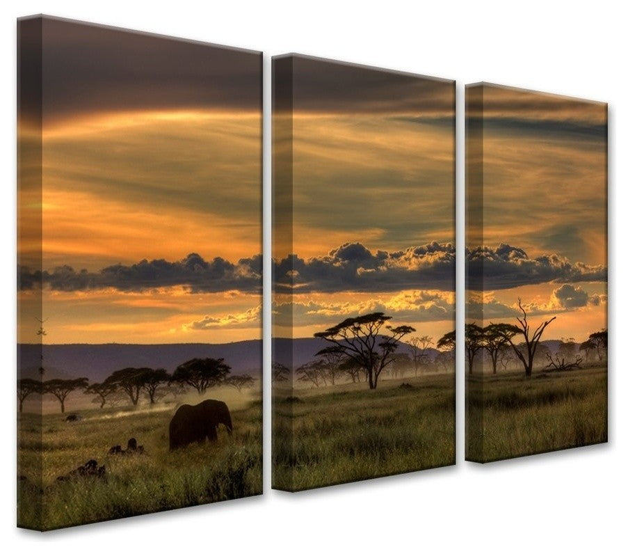 Africa' Canvas Wall Decor Set 3-Panels