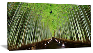 Beautiful Bamboo Forest Panorama, Landscape Canvas Art Print, 40x20