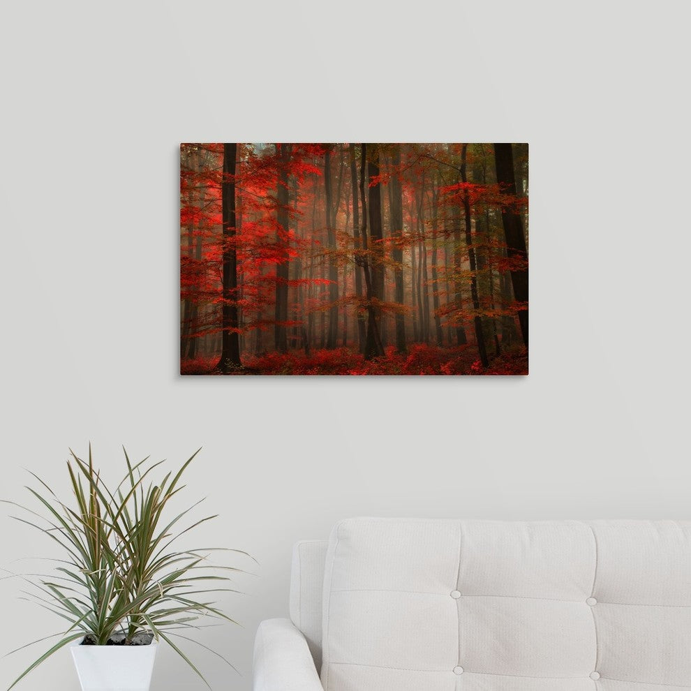 "Enchanting Red" Wrapped Canvas Art Print, 24"x16"x1.5"