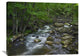 "Little Stony Creek Flowing Through Jefferson National Forest, Virginia" Artwork