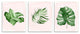 Boho Palm Leaves over Pink Modern Tropical Plants,3pc, each 10 x 15