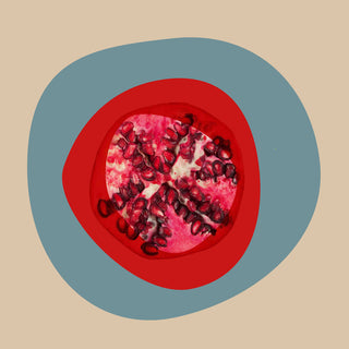 "September Pomegranate" Painting Print on Canvas by Irena Orlov