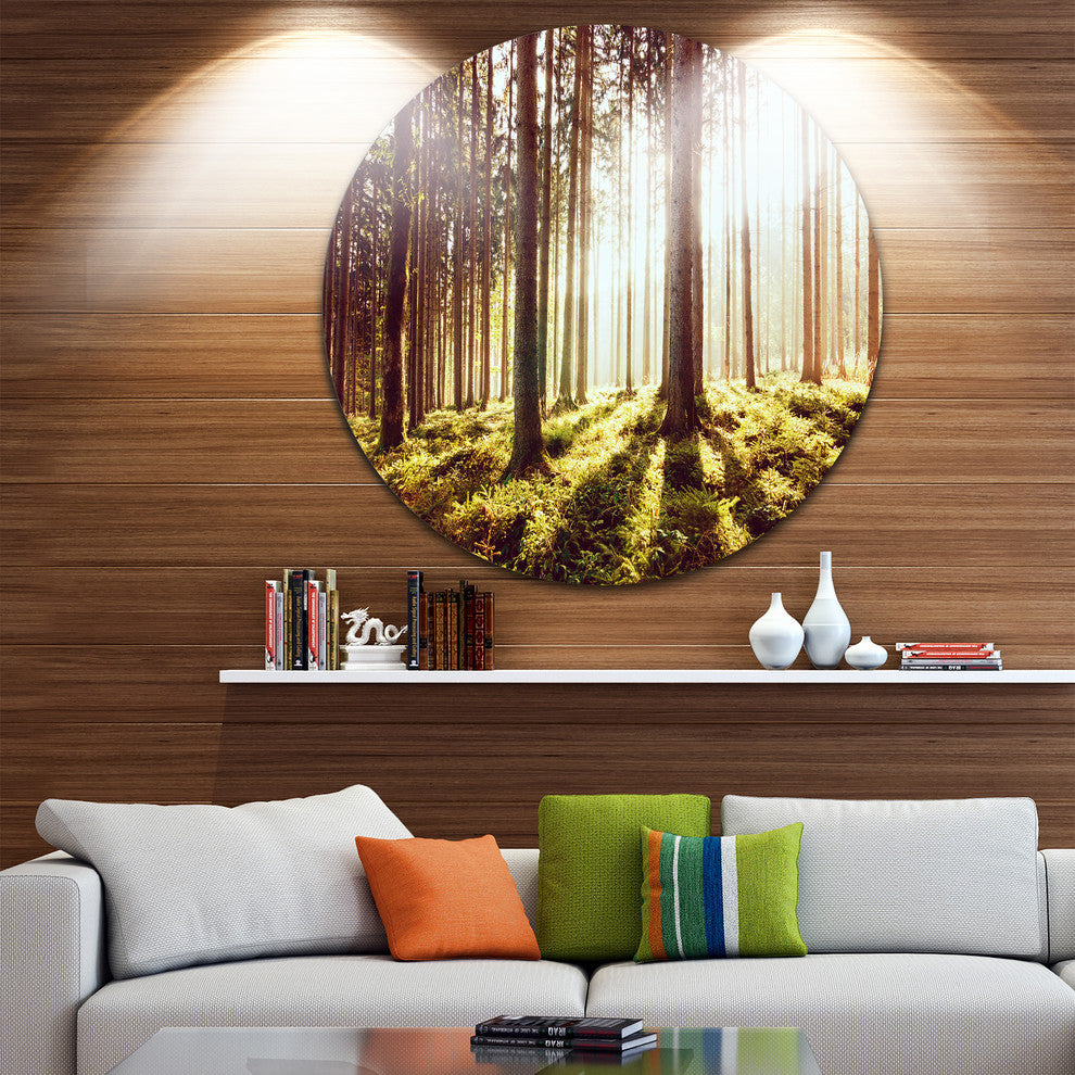 Early Morning Shadows Of Forest, Forest Round Metal Wall Art, 36"
