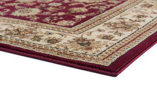 Gabrielle Transitional Border Red Rectangle Area Rug, 10.6'x14.6'