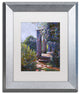 David Lloyd Glover 'Climbing Roses' Art, Silver Frame, 11"x14", White Matte