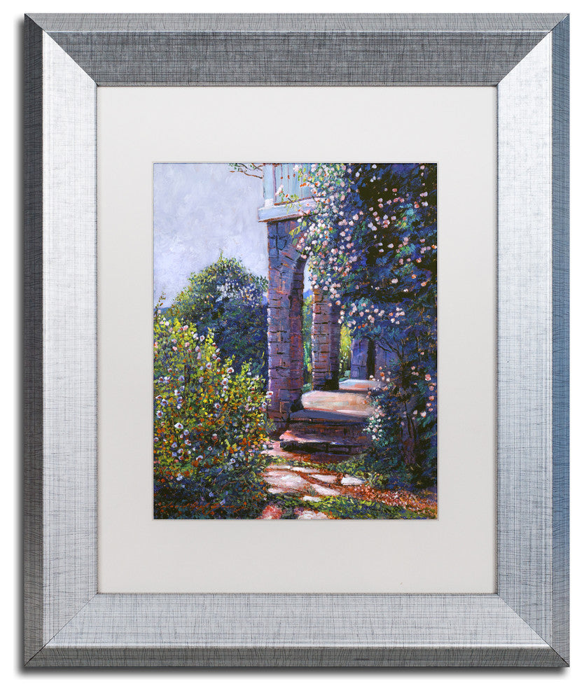 David Lloyd Glover 'Climbing Roses' Art, Silver Frame, 11"x14", White Matte