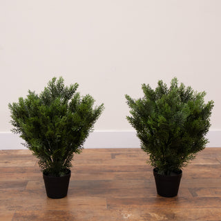 Lifestyle scene showing two potted trees in an interior decor arrangement.