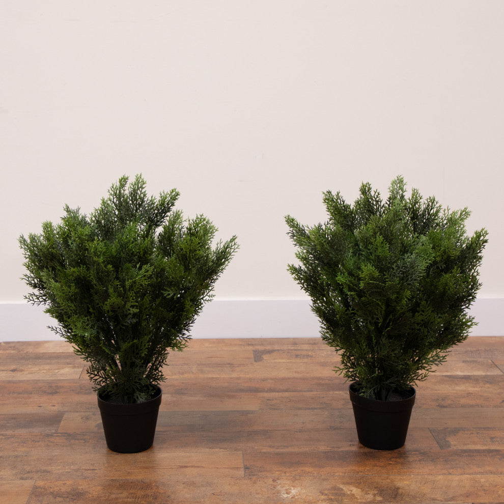 Lifestyle scene showing two potted trees in an interior decor arrangement.