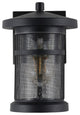 Safavieh Osprey Outdoor Wall Sconce Set of 2 Black